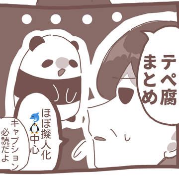 付き合ってる🐬🐧