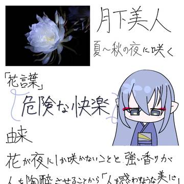 花言葉