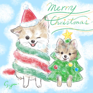 ポメポメXmas