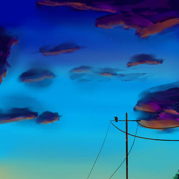 Landscape practice