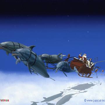 CLAUS U/W TOUR HOHOHO!