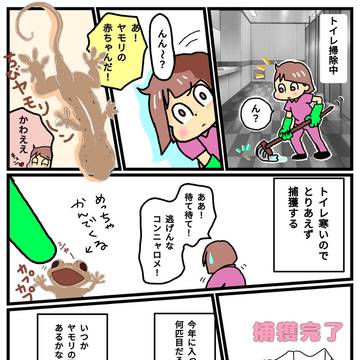 ヤモリかわえぇ