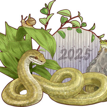 2025年年賀状