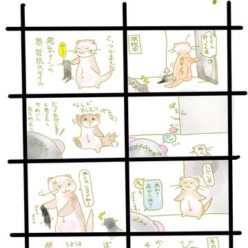 実録！！かーしゃんはチョロいの！＠あかり視点