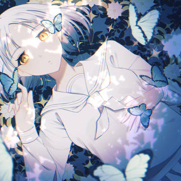 🦋.*˚