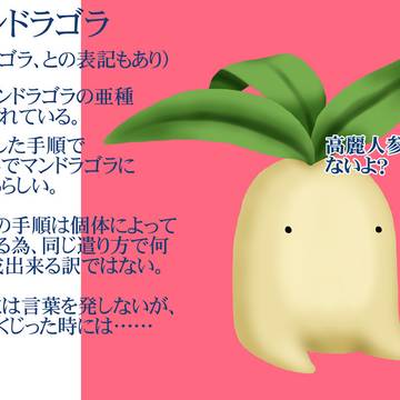 【備忘録】こういう設定【不思議生物2】