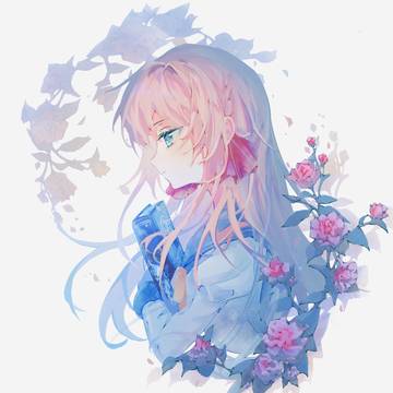 妃