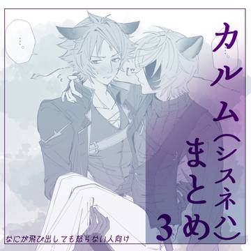 シスネハまとめ3