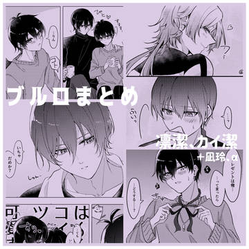 ブルロまとめ1