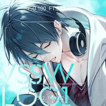 VSSWログ