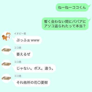 武道「あれ?俺のスマホは…?」