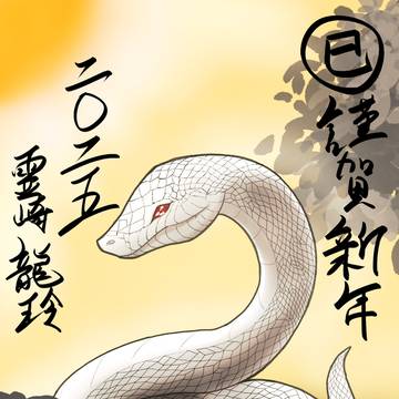 巳年、明けましておめでとうございます。