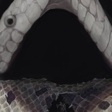 その5