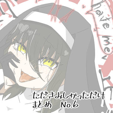 たださみ　まとめ　No.6