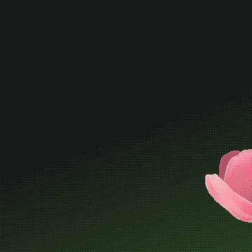 Good bye Pomu Rainpuff