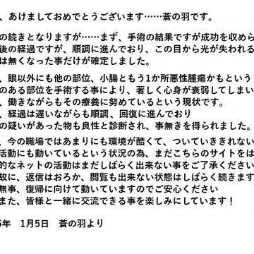 蒼の羽より2025年度のご挨拶と近況報告を