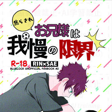 [1/12スパコミ関西30]焦らされお兄様は我慢の限界（サンプル