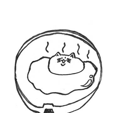 メコ観察日記8
