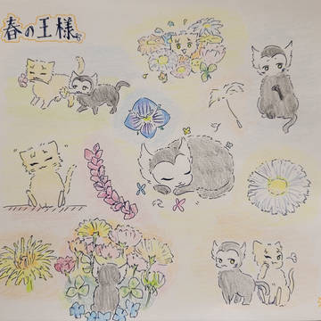 素敵な小説のFA