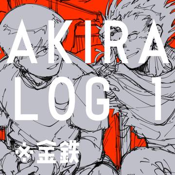 AKR log ①