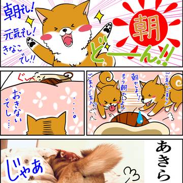 めざましきなこ