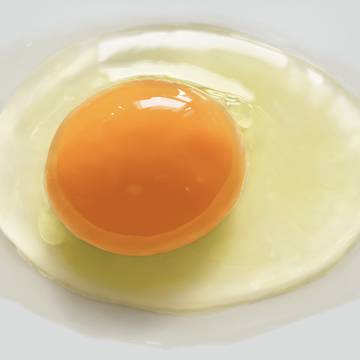 生卵
