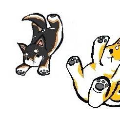 柴わんわん