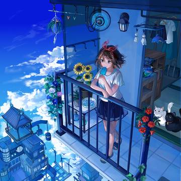 空中都市の夏