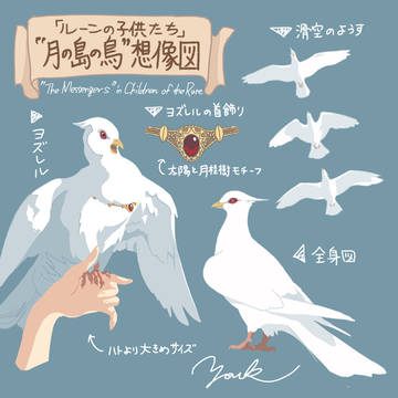 月の島の白い鳥想像図