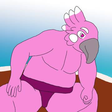 Sumo bird