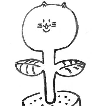メコ観察日記10