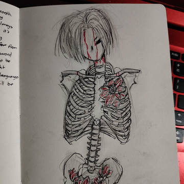 skeleton drawing