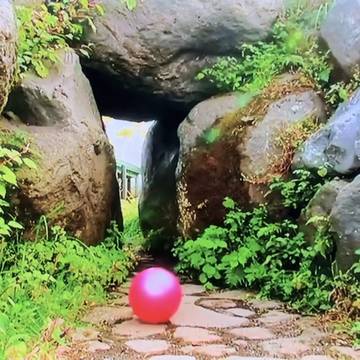 ボールの旅のお気に入りシーン5選!