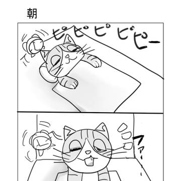 朝のにゃんこ