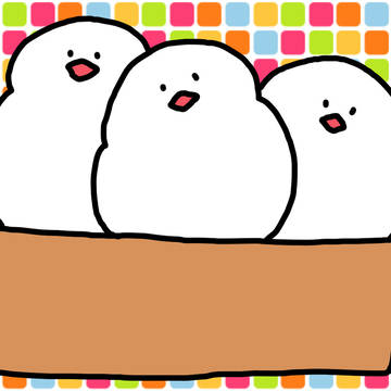文鳥たち