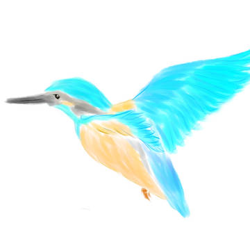 カワセミ