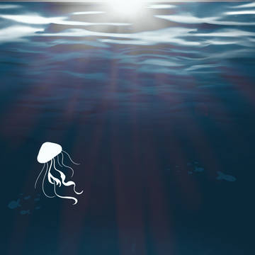 Ocean