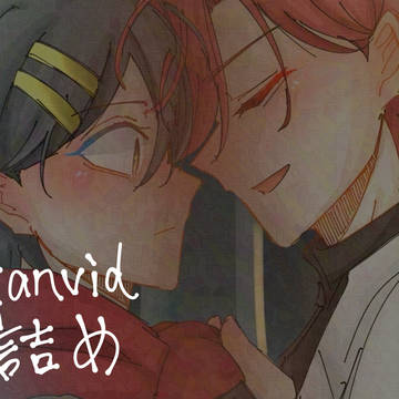 xanvid詰め