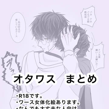 オタワスまとめ3