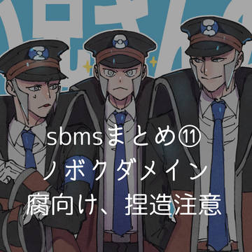sbmsまとめ11