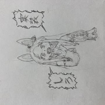 セイア実装記念