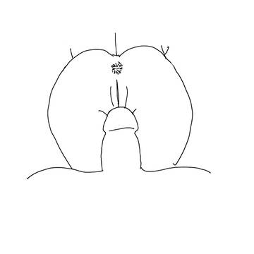 inserting