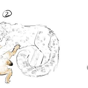 How to warm up a wildcat