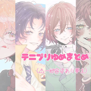 テニプリ夢まとめ①