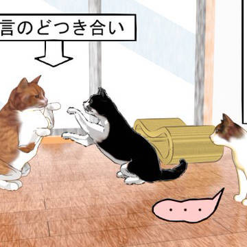 40話　人間に喋る理由・・・
