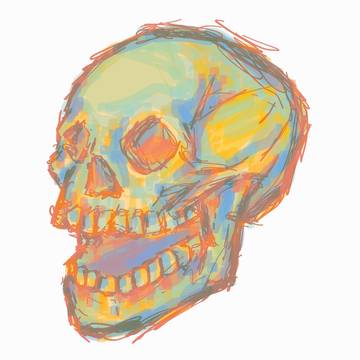 skull