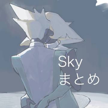 Skyまとめ１