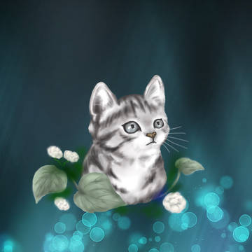 猫の夜