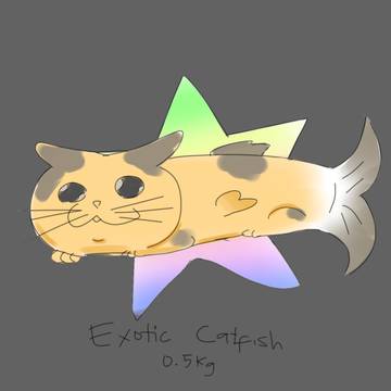 Exotic Catfish from Fisch
