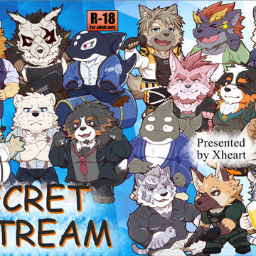 ケモＶ本「SECRET STREAM」通販開始しました！